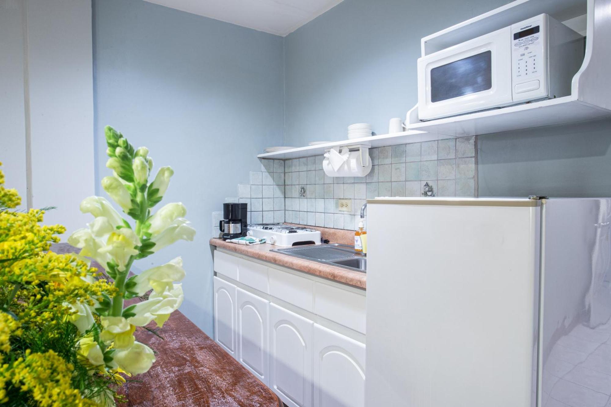 Apartotel Tairona San José Dış mekan fotoğraf